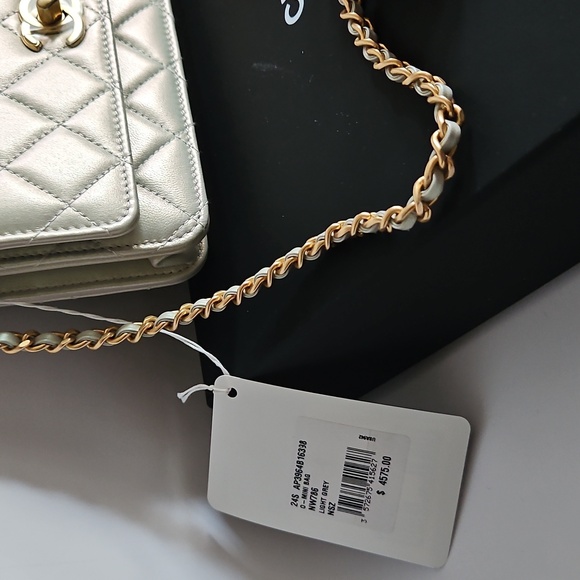 NEW CHANEL Agne Perle Pearl Ball Light Gray Mini Bag Wallet On Chain - Picture 4 of 17